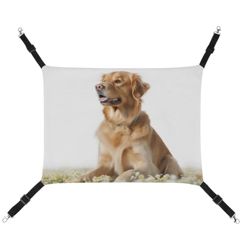 HETVBNS Hunde-Hängematte für Katzen und Hunde, weiche atmungsaktive Canvas-Hängematte mit verstellbaren Riemen, bequemes und langlebiges Hängebett für kleine bis mittelgroße Haustiere HETVBNS Hunde-Hängematte für Katzen und Hunde, weiche atmungsaktive Canvas-Hängematte mit verstellbaren Riemen, bequemes und langlebiges Hängebett für kleine bis mittelgroße Haustiere von HETVBNS
