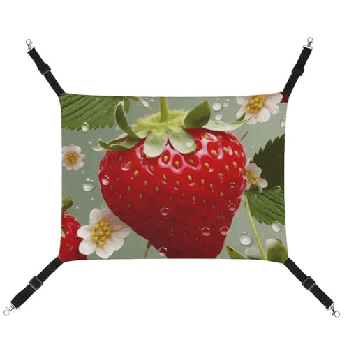 HETVBNS Lovely Strawberry Pet Hängematte für Katzen & Hunde, weiche, atmungsaktive Canvas-Hängematte mit verstellbaren Riemen, bequemes und langlebiges Hängebett für kleine bis mittelgroße Haustiere HETVBNS Lovely Strawberry Pet Hängematte für Katzen & Hunde, weiche, atmungsaktive Canvas-Hängematte mit verstellbaren Riemen, bequemes und langlebiges Hängebett für kleine bis mittelgroße Haustiere von HETVBNS