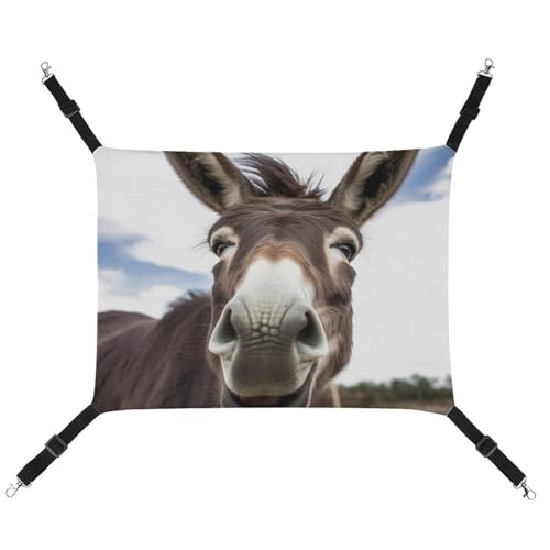 HETVBNS Niedliche lustige Esel-Haustier-Hängematte für Katzen und Hunde, weiche, atmungsaktive Canvas-Hängematte mit verstellbaren Riemen, bequemes und langlebiges Hängebett für kleine bis mittelgroße HETVBNS Niedliche lustige Esel-Haustier-Hängematte für Katzen und Hunde, weiche, atmungsaktive Canvas-Hängematte mit verstellbaren Riemen, bequemes und langlebiges Hängebett für kleine bis mittelgroße von HETVBNS