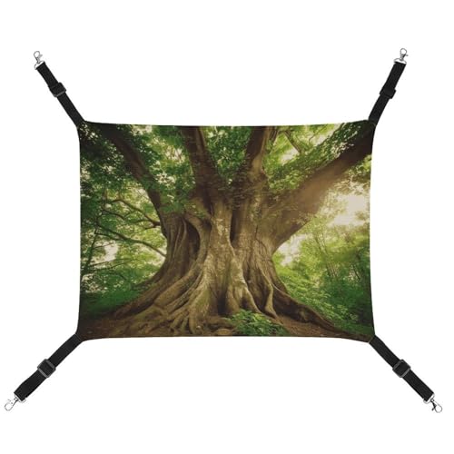 HETVBNS Thick Tree Haustierhängematte für Katzen & Hunde, weiche atmungsaktive Canvas-Hängematte mit verstellbaren Riemen, bequemes und langlebiges Hängebett für kleine bis mittelgroße Haustiere HETVBNS Thick Tree Haustierhängematte für Katzen & Hunde, weiche atmungsaktive Canvas-Hängematte mit verstellbaren Riemen, bequemes und langlebiges Hängebett für kleine bis mittelgroße Haustiere von HETVBNS
