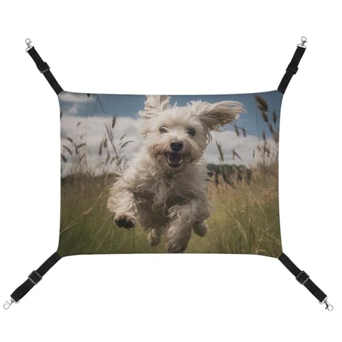 HETVBNS White Dog in The Field Haustier-Hängematte für Katzen & Hunde, weiche atmungsaktive Canvas-Hängematte mit verstellbaren Riemen, bequemes und langlebiges Hängebett für kleine bis mittelgroße HETVBNS White Dog in The Field Haustier-Hängematte für Katzen & Hunde, weiche atmungsaktive Canvas-Hängematte mit verstellbaren Riemen, bequemes und langlebiges Hängebett für kleine bis mittelgroße von HETVBNS