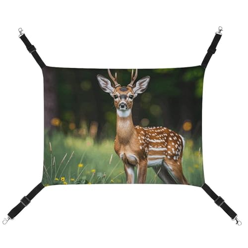 HETVBNS Whitetail Rehkitz Haustierhängematte für Katzen und Hunde, weiche atmungsaktive Canvas-Hängematte mit verstellbaren Riemen, bequemes und langlebiges Hängebett für kleine bis mittelgroße HETVBNS Whitetail Rehkitz Haustierhängematte für Katzen und Hunde, weiche atmungsaktive Canvas-Hängematte mit verstellbaren Riemen, bequemes und langlebiges Hängebett für kleine bis mittelgroße von HETVBNS
