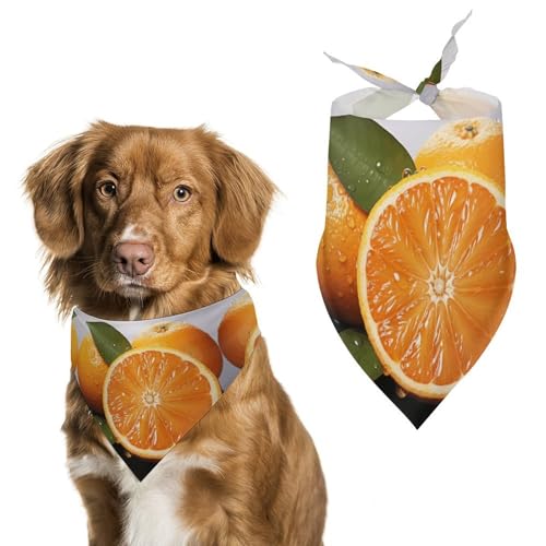 Halstücher für Hunde, Dreieck, waschbar, für Katzen und Hunde, Orange Halstücher für Hunde, Dreieck, waschbar, für Katzen und Hunde, Orange von HETVBNS