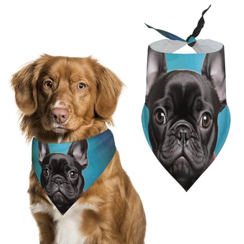 Halstücher für Hunde mit französischer Bulldogge mit Kamera, Dreiecks-Lätzchen, waschbar, für Katzen und Hunde Halstücher für Hunde mit französischer Bulldogge mit Kamera, Dreiecks-Lätzchen, waschbar, für Katzen und Hunde von HETVBNS