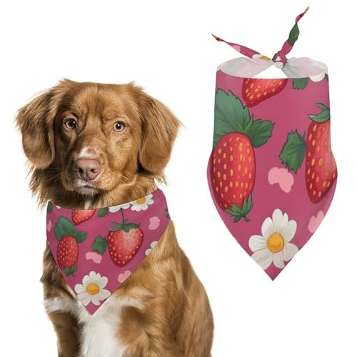 Halstücher für Hunde und Katzen mit Erdbeermotiv, dreieckig, waschbar, Rosa Halstücher für Hunde und Katzen mit Erdbeermotiv, dreieckig, waschbar, Rosa von HETVBNS
