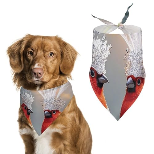 Halstücher für Pärchen, Motiv: kleine Vögel, für die Fütterung, Fellpflege, Dreieck, waschbar, Haustier-Schal für Katzen und Hunde Halstücher für Pärchen, Motiv: kleine Vögel, für die Fütterung, Fellpflege, Dreieck, waschbar, Haustier-Schal für Katzen und Hunde von HETVBNS