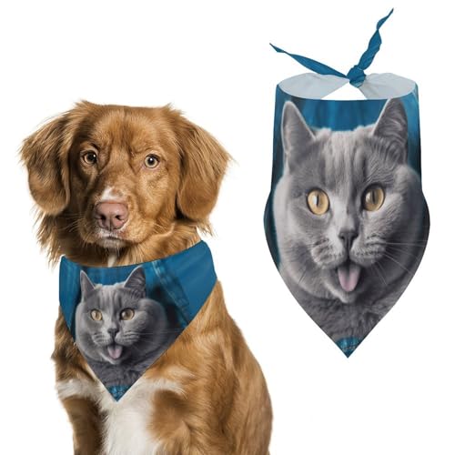 Hundehalstücher für Katzen und Hunde, dreieckig, waschbar, für Katzen und Hunde, Blau Hundehalstücher für Katzen und Hunde, dreieckig, waschbar, für Katzen und Hunde, Blau von HETVBNS