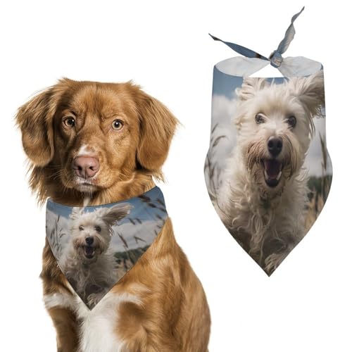 Hundehalstücher für Katzen und Hunde, dreieckig, waschbar, für Katzen und Hunde, Weiß Hundehalstücher für Katzen und Hunde, dreieckig, waschbar, für Katzen und Hunde, Weiß von HETVBNS