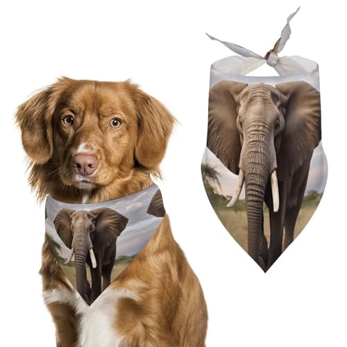 Hundehalstücher mit Elefantenmotiv, dreieckig, waschbar, für Katzen und Hunde Hundehalstücher mit Elefantenmotiv, dreieckig, waschbar, für Katzen und Hunde von HETVBNS