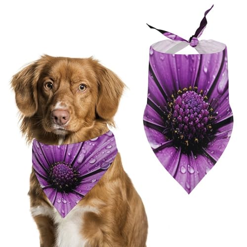 Hundehalstücher mit Gänseblümchen-Motiv, dreieckig, waschbar, für Katzen und Hunde, Violett Hundehalstücher mit Gänseblümchen-Motiv, dreieckig, waschbar, für Katzen und Hunde, Violett von HETVBNS