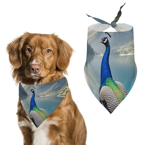Hundehalstücher mit Pfauenmotiv, dreieckig, waschbar, für Katzen und Hunde Hundehalstücher mit Pfauenmotiv, dreieckig, waschbar, für Katzen und Hunde von HETVBNS