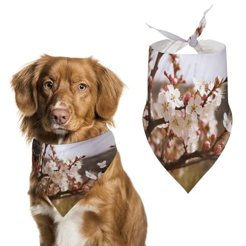 Hundehalstücher mit Pflaumenbaumblüte, dreieckig, waschbar, für Katzen und Hunde Hundehalstücher mit Pflaumenbaumblüte, dreieckig, waschbar, für Katzen und Hunde von HETVBNS