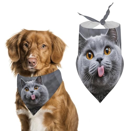 Hundehalstücher mit ausgestreckter Zunge, dreieckig, waschbar, für Katzen und Hunde, Blau Hundehalstücher mit ausgestreckter Zunge, dreieckig, waschbar, für Katzen und Hunde, Blau von HETVBNS