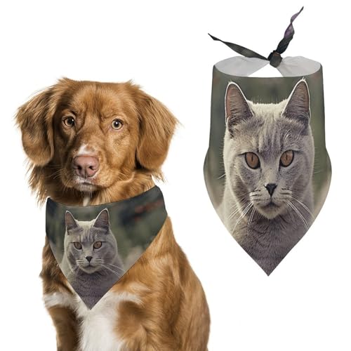 Hundehalstücher mit grauer Katze im Blumenfeld, dreieckig, waschbar, für Katzen und Hunde Hundehalstücher mit grauer Katze im Blumenfeld, dreieckig, waschbar, für Katzen und Hunde von HETVBNS