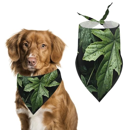 Hundehalstücher mit grünen Blättern zum Füttern und Pflegen, dreieckige Haustier-Lätzchen, waschbar, Haustier-Schal für Katzen und Hunde von HETVBNS