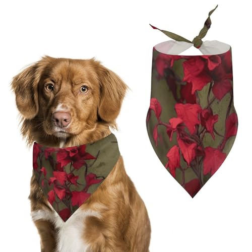 Hundehalstücher mit roten Blumenranken zum Füttern und Pflegen, dreieckige Haustier-Lätzchen, waschbar, Haustier-Schal für Katzen und Hunde Hundehalstücher mit roten Blumenranken zum Füttern und Pflegen, dreieckige Haustier-Lätzchen, waschbar, Haustier-Schal für Katzen und Hunde von HETVBNS