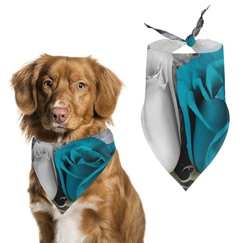 Hundehalstücher zum Füttern und Pflegen, dreieckig, waschbar, für Katzen und Hunde, Blaugrün / Grau Hundehalstücher zum Füttern und Pflegen, dreieckig, waschbar, für Katzen und Hunde, Blaugrün / Grau von HETVBNS