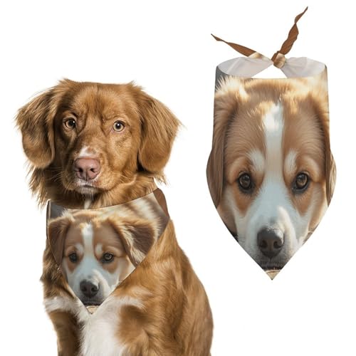 Lazy Dog Hundehalstücher zum Füttern und Pflegen, dreieckige Haustier-Lätzchen, waschbar, Haustier-Schal für Katzen und Hunde Lazy Dog Hundehalstücher zum Füttern und Pflegen, dreieckige Haustier-Lätzchen, waschbar, Haustier-Schal für Katzen und Hunde von HETVBNS