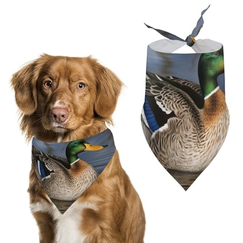 Mallard Duck Hundehalstücher für die Fütterung, Fellpflege, dreieckige Haustier-Lätzchen, waschbar, Haustier-Schal für Katzen und Hunde Mallard Duck Hundehalstücher für die Fütterung, Fellpflege, dreieckige Haustier-Lätzchen, waschbar, Haustier-Schal für Katzen und Hunde von HETVBNS