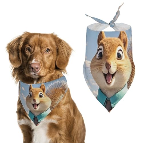 New York und Eichhörnchen Hundehalstücher zum Füttern und Pflegen, Dreieckstuch für Haustiere, waschbar, für Katzen und Hunde New York und Eichhörnchen Hundehalstücher zum Füttern und Pflegen, Dreieckstuch für Haustiere, waschbar, für Katzen und Hunde von HETVBNS