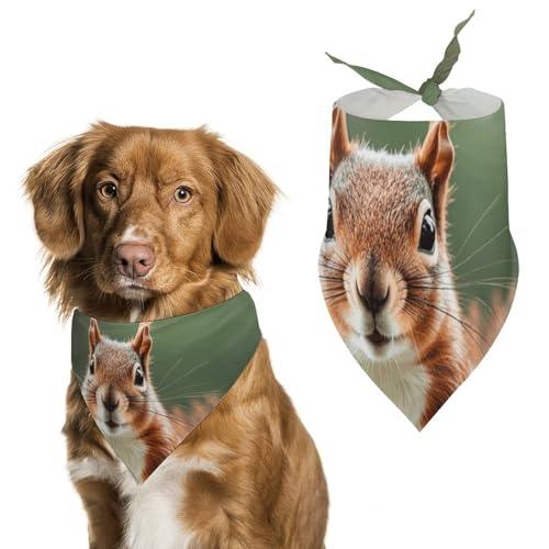 Niedliche Eichhörnchen-Hundehalstücher zum Füttern und Pflegen, dreieckiges Haustier-Lätzchen, waschbar, Haustier-Schal für Katzen und Hunde Niedliche Eichhörnchen-Hundehalstücher zum Füttern und Pflegen, dreieckiges Haustier-Lätzchen, waschbar, Haustier-Schal für Katzen und Hunde von HETVBNS