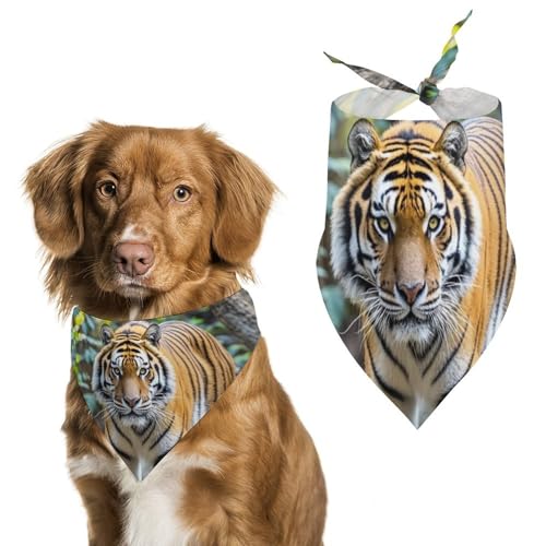 Tiger Hundehalstücher für die Fütterung, Fellpflege, dreieckig, waschbar, Haustier-Schal für Katzen und Hunde Tiger Hundehalstücher für die Fütterung, Fellpflege, dreieckig, waschbar, Haustier-Schal für Katzen und Hunde von HETVBNS