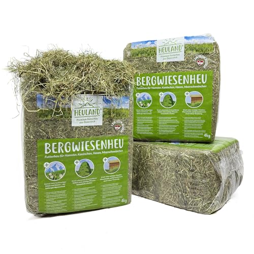 HEULAND® Premium Heu (1 x 4 Kg) Frisches Bergwiesenheu für Kleintiere Kaninchen Kräuter Hamster Streu Meerschweinchen Futter für Nager Chinchilla Zwergkaninchen Hasen Zwerghamster (4 Kilo) von HEULAND