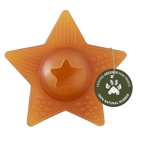 Hevea Hundespielzeug Stern Orange aus 100% reinem Naturkautschuk I natürlich weiches Hundespielzeug ideal für Welpen I Bissfestes Material I Gelocht für Hunde-Leckerli I VEGAN & ohne Plastik von Hevea