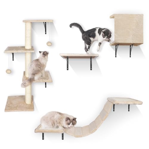 HEVOL Katzen Kletterwand, 10-Teiliges Kletterwand Katzen Set, Stabiler Katzenmöbel mit Kratzbäume, Hängematte,Katzenliege und Katzenhöhle für Katze Schlafen Spielen Lounging HEVOL Katzen Kletterwand, 10-Teiliges Kletterwand Katzen Set, Stabiler Katzenmöbel mit Kratzbäume, Hängematte,Katzenliege und Katzenhöhle für Katze Schlafen Spielen Lounging von HEVOL