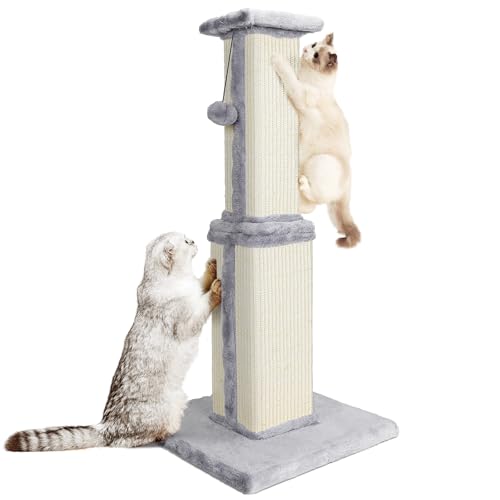 HEVOL Kratzbaum, 80cm Hoch Kratzsäule, Katzenbaum, Kratzstamm für Mittelgroße und Klein Katzen, Natürlichem Sisalstamm Katzenkratzbaum mit Interaktiven Plüschball, Beige HEVOL Kratzbaum, 80cm Hoch Kratzsäule, Katzenbaum, Kratzstamm für Mittelgroße und Klein Katzen, Natürlichem Sisalstamm Katzenkratzbaum mit Interaktiven Plüschball, Beige von HEVOL