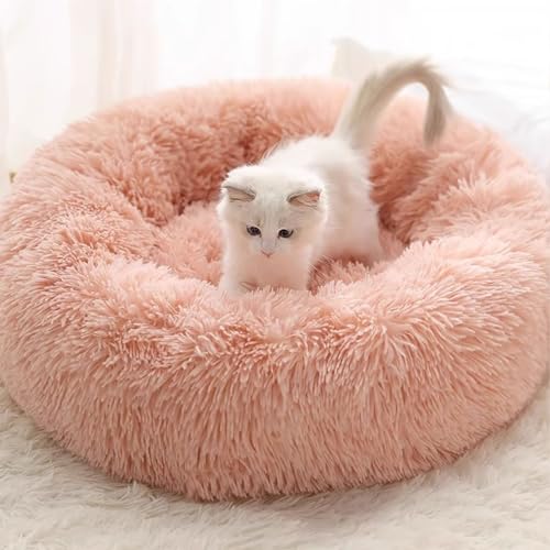 Haustierbett, Plüschzelt, Höhlenhaus, Dreieckiges Katzennistbett, Katzennesthaus For Katzen, Kleine Hunde, Welpen, Mit Waschbarem, Abnehmbarem Kissen, Tragegriff, Rutschfestes Katzenbett, Iglu-Höhle ( Haustierbett, Plüschzelt, Höhlenhaus, Dreieckiges Katzennistbett, Katzennesthaus For Katzen, Kleine Hunde, Welpen, Mit Waschbarem, Abnehmbarem Kissen, Tragegriff, Rutschfestes Katzenbett, Iglu-Höhle ( von HEXEH