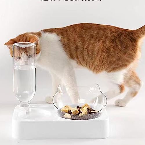 Katzen- Und Hundenäpfe 2 In 1, Haustiernäpfe for Katzen Und Hunde, Doppelnäpfe, Futternäpfe Aus Edelstahl for Katzen Und Hunde, Futternäpfe Und Wasserspender (Color : D) von HEXEH