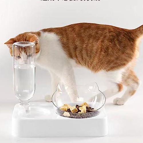 Katzennäpfe, Anti-Rutsch-Design, Katzen-Futternäpfe, Edelstahl-Futterspender for Kleine Haustiere Und Katzen (Color : D) von HEXEH
