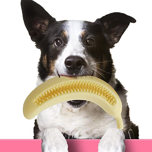 HEYCE Beißspielzeug für Welpen - Zahnreinigungsspielzeug für Haustiere | Interaktives Robustes Haustierspielzeug für Welpen und Hunde zum Kauen und Spielen von HEYCE