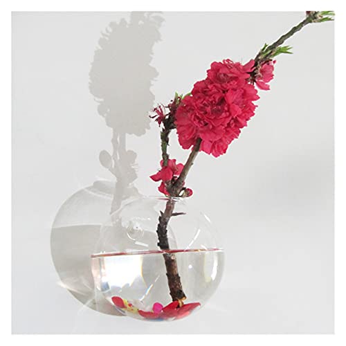 Wand aufhängende Blumen. Halbrunde Glas-Hängevase, Wandmontage, Hydrokultur-Terrarium, Fischglas, Pflanze, Blumentopf, Innenbereich, Zuhause, Schlafzimmer von HEYDGBBZ