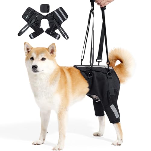 ​Premium Hundetragegurt mit Verstellbarem Beckengurt | Tragehilfe für XL-Hunde mit Schwachen Hinterbeinen, Orthopädisches Mobilitätsgeschirr für Rehabilitation nach Operationen​ von HEYOUTH