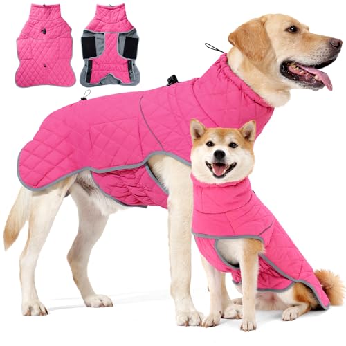 HEYWEAN Hundemantel Winter Wasserdicht Hundejacke mit D-Ring Warm Mantel Hund Fleece Hundepullover Reflektierende Wintermantel für kleine mittlere große Hunde Kleidung Hundejacke Wandern Winterweste HEYWEAN Hundemantel Winter Wasserdicht Hundejacke mit D-Ring Warm Mantel Hund Fleece Hundepullover Reflektierende Wintermantel für kleine mittlere große Hunde Kleidung Hundejacke Wandern Winterweste von HEYWEAN
