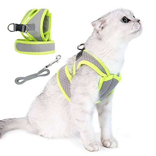 HEYWEAN Katzengeschirr mit Leine ausbruchsicher Katzengeschirr für kleine Katzen Geschirrset mit Katzen Leine Cat Harness Katzenleine mit Geschirr für Katzen kleinen Hund verstellbar Katzenweste von HEYWEAN