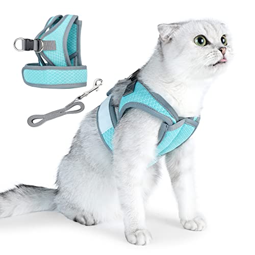 HEYWEAN Katzengeschirr mit Leine ausbruchsicher Katzengeschirr für kleine Katzen Geschirrset mit Katzen Leine Cat Harness Katzenleine mit Geschirr für Katzen kleinen Hund verstellbar Katzenweste von HEYWEAN