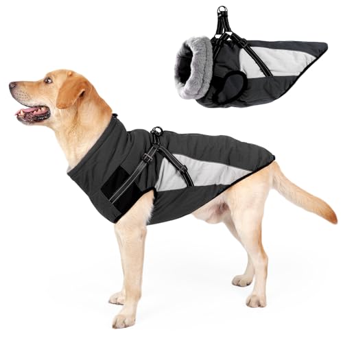 HEYWEAN Wasserdicht Hundemantel mit Geschirr Reflektierend Winter Warm Hundejacke für Kleine Mittel Grosse Hunde Hundepullover Fleece Hunde Wintermantel Kaltes Wetter Winterjacke Warme Mantel für Hund HEYWEAN Wasserdicht Hundemantel mit Geschirr Reflektierend Winter Warm Hundejacke für Kleine Mittel Grosse Hunde Hundepullover Fleece Hunde Wintermantel Kaltes Wetter Winterjacke Warme Mantel für Hund von HEYWEAN