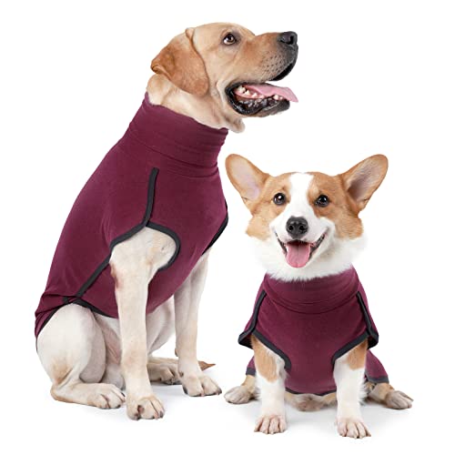 Heywean Dog Sweatshirt Stretch Fleece Weste Warmer Hundepullover Pullover für kleine und mittlere Hunde Haustier Winterkleidung für den Innen- und Außenbereich von HEYWEAN