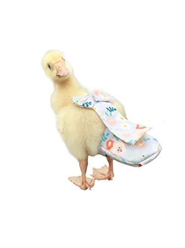 HEZHUO Entenwindeln, Hühnerwindeln, spezielle Windeln für Geflügel, Huhn, Ente und Gans, wasserdicht, verstellbare, waschbare und wiederverwendbare Windeln, Geflügelbedarf, Entenbedarf (M: 200 g - 250 HEZHUO Entenwindeln, Hühnerwindeln, spezielle Windeln für Geflügel, Huhn, Ente und Gans, wasserdicht, verstellbare, waschbare und wiederverwendbare Windeln, Geflügelbedarf, Entenbedarf (M: 200 g - 250 von HEZHUO