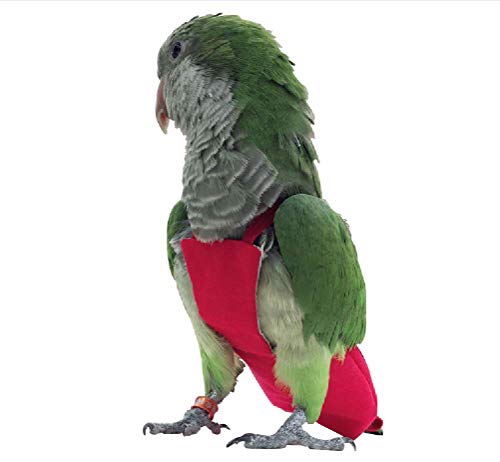 HEZHUO Papageien-Windel-Vogel-Fluganzug, Vogelkleidung, wasserdichtes Futter, Haustier-Vogelzubehör (3XL, Rot) von HEZHUO