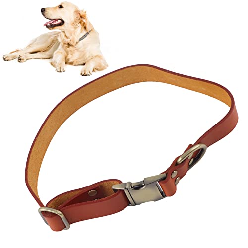 Hundehalsband aus Leder, Weich Gepolstertes Haustierhalsband aus Leder mit Gravierter Schnalle, Sommer-Hundehalsband für Kleine, Mittelgroße und Große Katzen und Hunde(M-Orange) von HFEHSKJ