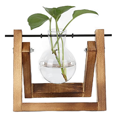 Pflanzenvermehrungsstationen aus Glas, Pflanzenterrarium mit Holzständer, Desktop-Pflanzenterrarium, Glasvase für Büro- und Heimdekoration(Retro-Rahmen + Einzelflasche) von HFEHSKJ