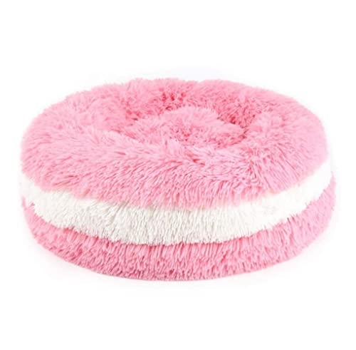 Katzenhundbett Haustierbett Zwinger Plüsch Donut Haustier Bett, Hund Katze rund warmes Kuschler Zwinger weiche Welpensofa, Anti-Rutsch-Boden, Maschinenwaschbares Haustier Nest Hunde Bett Welpe Sofa Katzenhundbett Haustierbett Zwinger Plüsch Donut Haustier Bett, Hund Katze rund warmes Kuschler Zwinger weiche Welpensofa, Anti-Rutsch-Boden, Maschinenwaschbares Haustier Nest Hunde Bett Welpe Sofa von HFERTSCN
