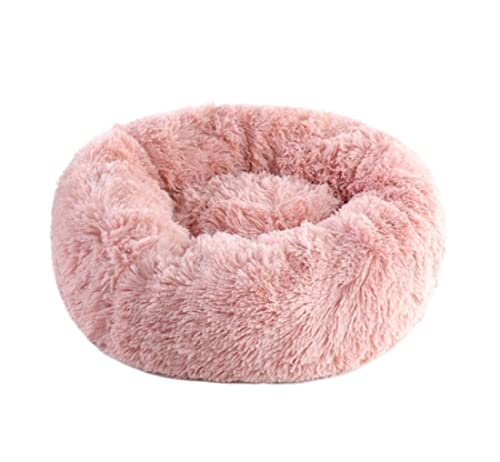 Katzenhundbett Haustierbett Zwinger warme Katzenbett Plüsch waschbarer Hundebetten, beruhigende Haustierbetthundmatte Welpe Kissen Zwinger Hundebett Welpensofa (blau: Roze, Größe: Durchmesser 40 cm) Katzenhundbett Haustierbett Zwinger warme Katzenbett Plüsch waschbarer Hundebetten, beruhigende Haustierbetthundmatte Welpe Kissen Zwinger Hundebett Welpensofa (blau: Roze, Größe: Durchmesser 40 cm) von HFERTSCN