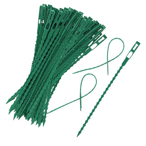 HFMYGS 100 Stück Pflanzenbinder Verstellbare,Kabelbinder Garten Flexible, Pflanzen Anbinder Gartenbinder, Kunststoff Schnellbinder Pflanzenclips, Pflanzen Befestigung für Tomaten, Gurken von HFMYGS
