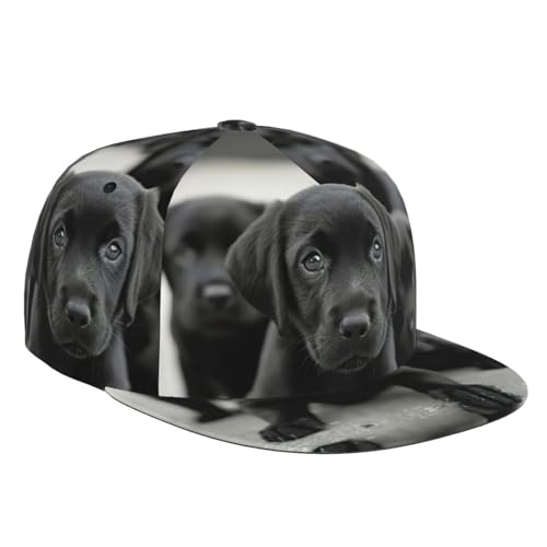 Baseballkappe für Welpen, Hunde, Uni, flache Krempe, gewaschen, weiche Kappe, verstellbare Baseballmütze, Papa-Hut, Schwarz, Einheitsgröße von HGFVY