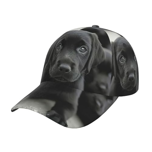Baseballkappe für Welpen, Hunde, Uni, gewaschen, weiche Kappe, verstellbare Baseballmütze, Papa-Hut, Schwarz, Einheitsgröße von HGFVY